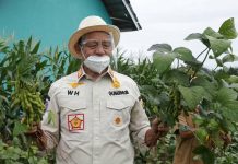 Genjot Produksi Lokal, Banten Siapkan Lahan 2.050 Hektar untuk Petani Kedelai