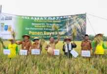 Produksi Gabah dan NTP Provinsi Banten Meningkat